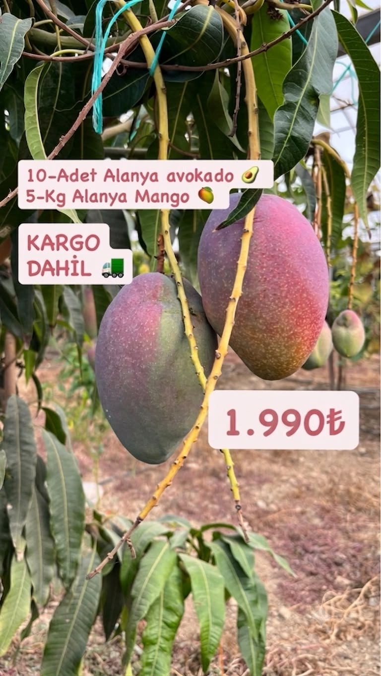 FIRSAT PAKETİ-8