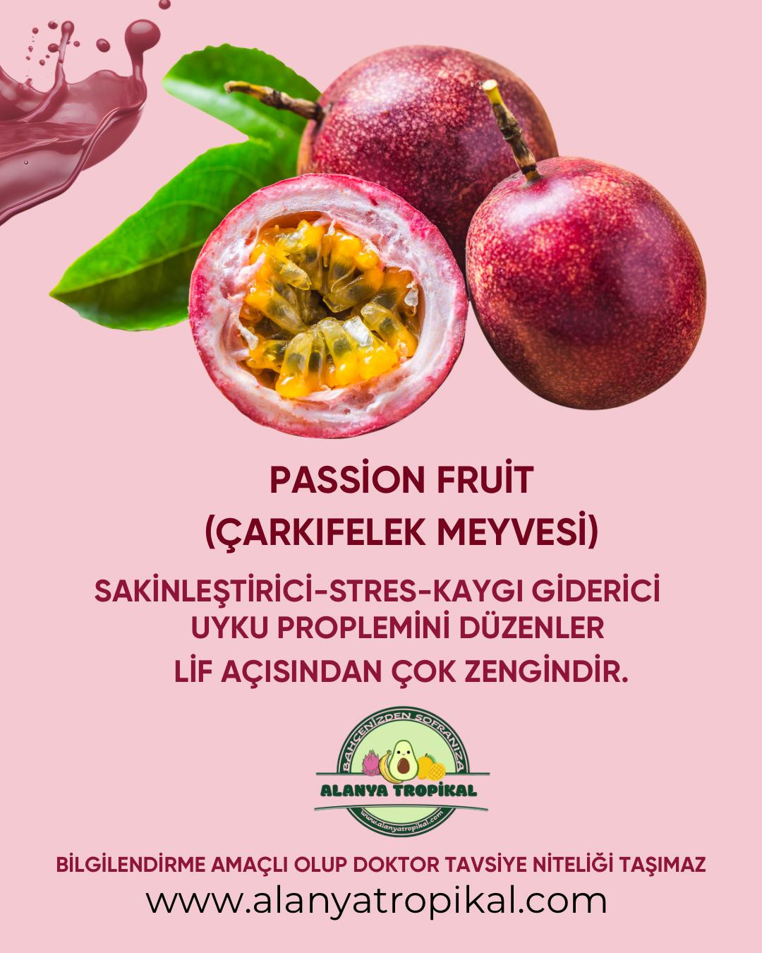 PASİFLORA 300GR.(ÇARKIFELEK) görsel 3