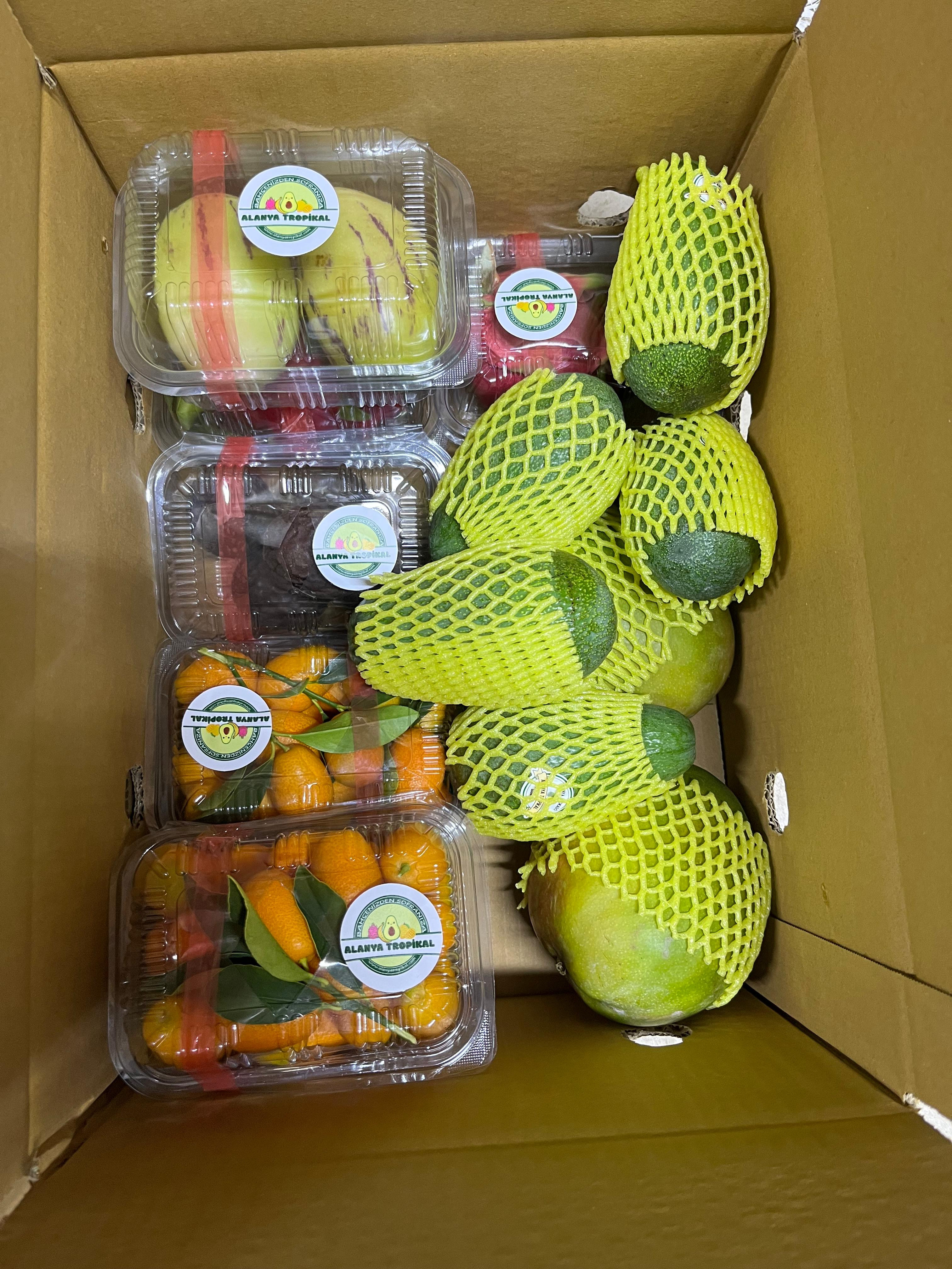KUMKUAT(500GR) görsel 3