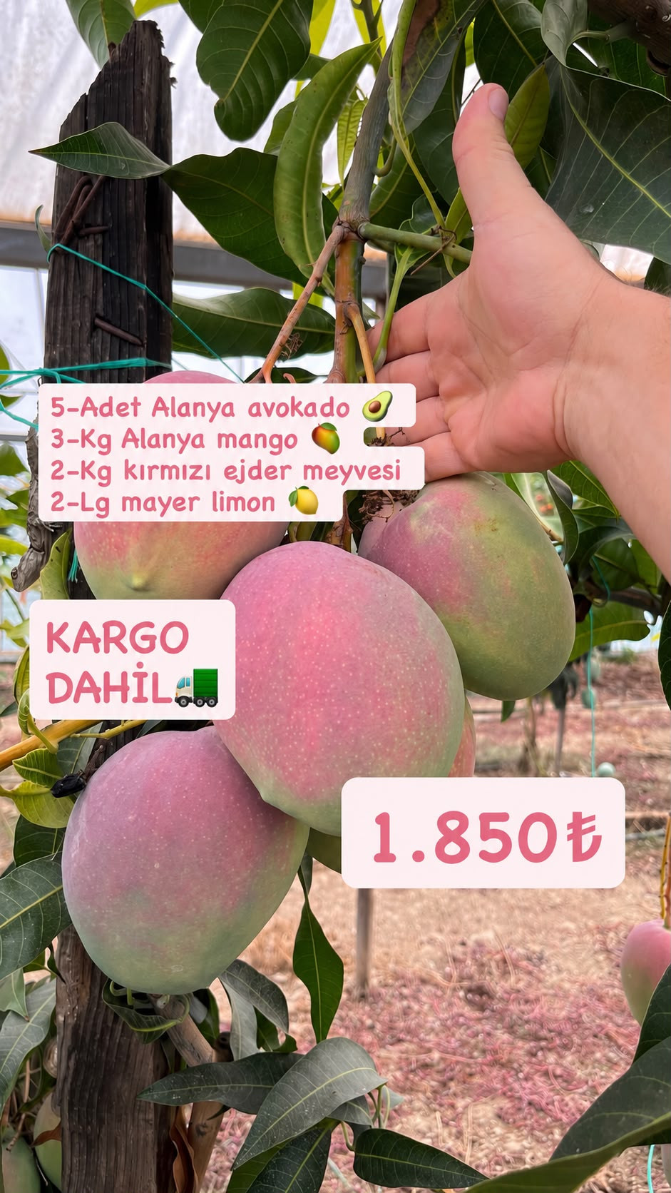 FIRSAT PAKETİ-9