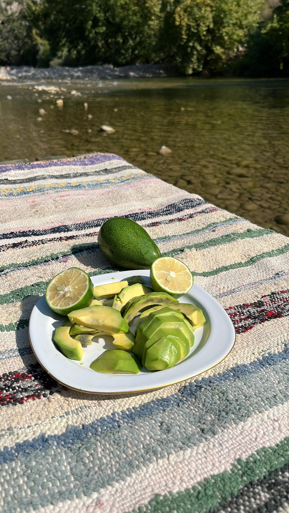 CLİFTON AVOKADO (ADET) görsel 2