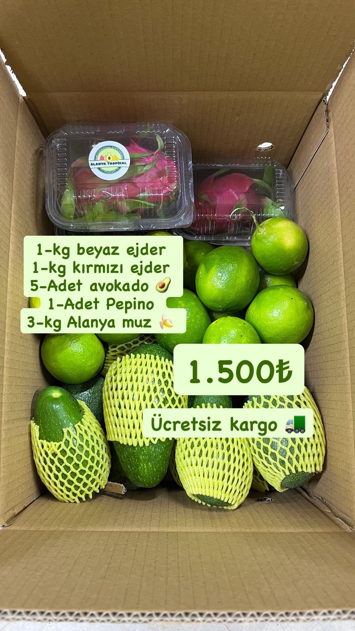 FIRSAT PAKETİ-2